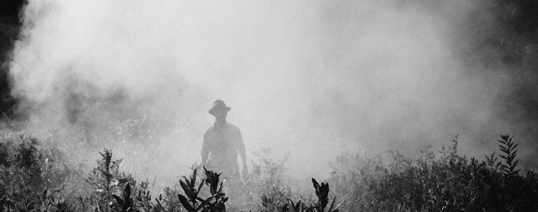 sprays and pesticide