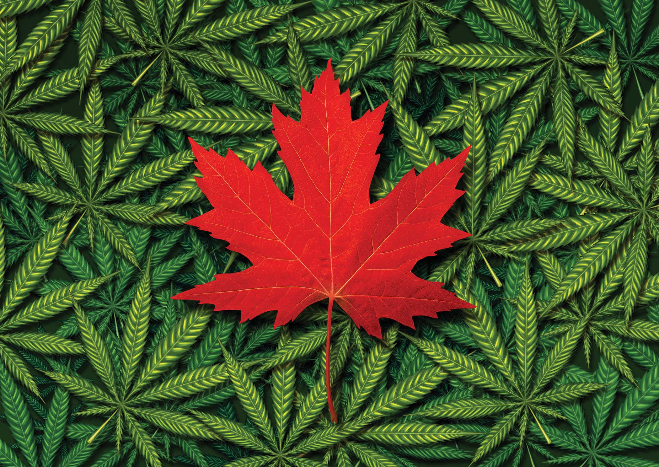 3 Of Canada's Biggest Legalization Fails (So Far) - Cannabis | Weed ...