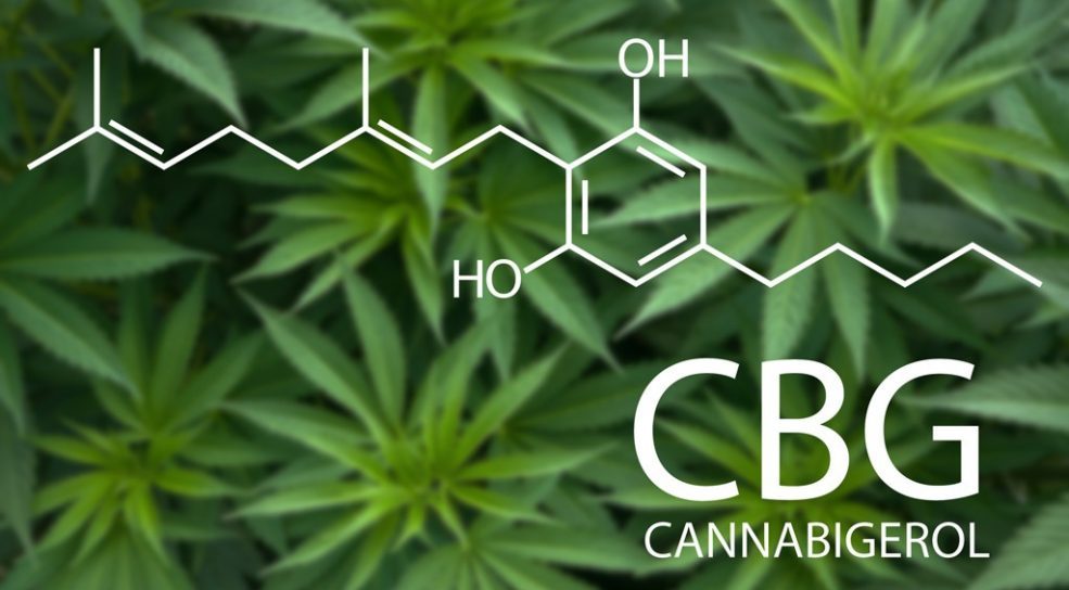 cbg vs cbd