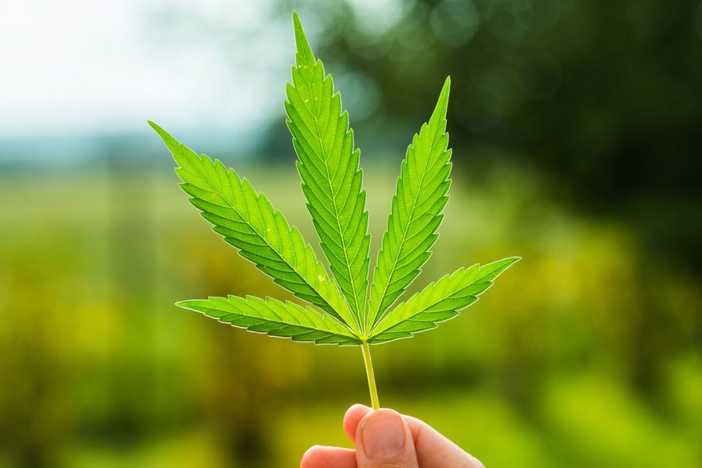 legalization