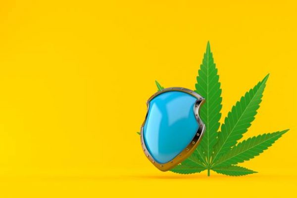 insurance cannabis