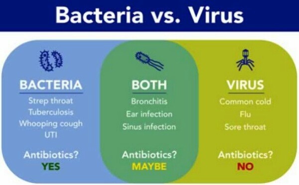 wuhan virus