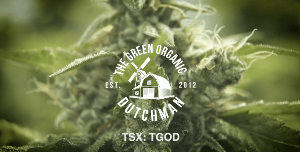 The Green Organic Dutchman: Q4 and Year End 2019 Financial Results