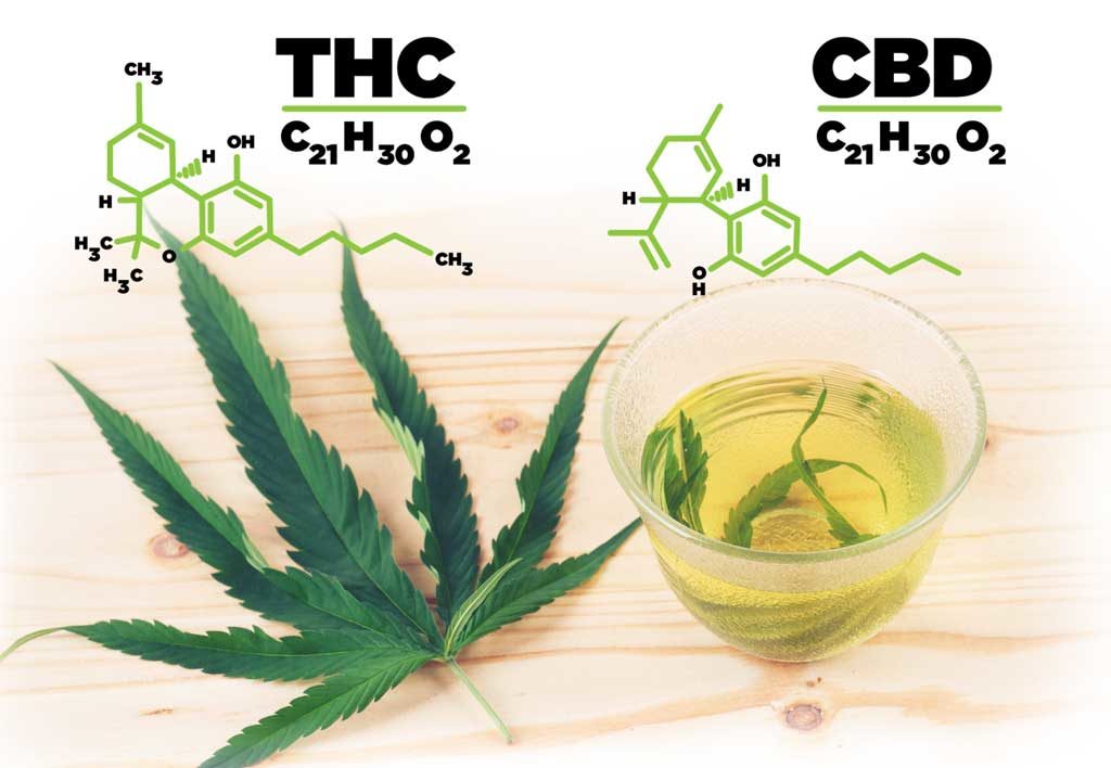 What's The Difference Between CBD And THC? And Why Does It Matter?