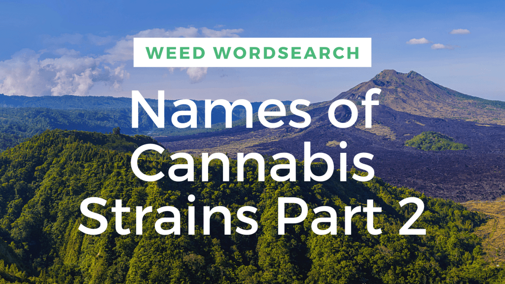 Interactive Wordsearch Names of Cannabis Strains Part 2 Latest