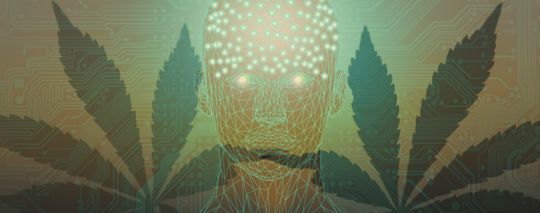 How Artificial Intelligence is Transforming the Cannabis Industry
